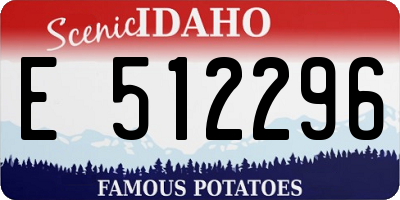 ID license plate E512296