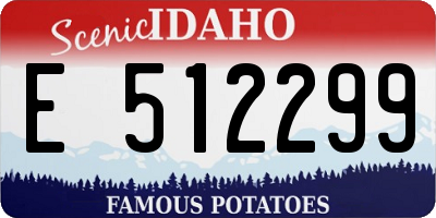 ID license plate E512299