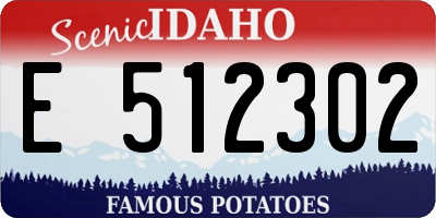 ID license plate E512302