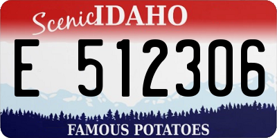 ID license plate E512306