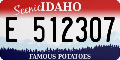 ID license plate E512307