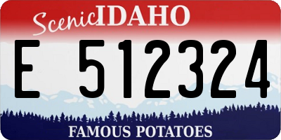 ID license plate E512324