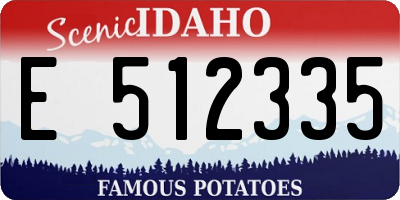 ID license plate E512335
