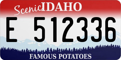 ID license plate E512336