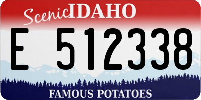 ID license plate E512338