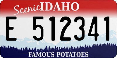 ID license plate E512341