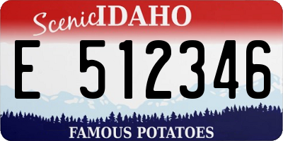 ID license plate E512346