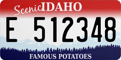 ID license plate E512348