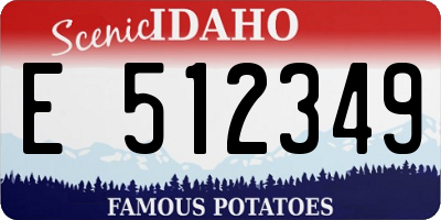 ID license plate E512349