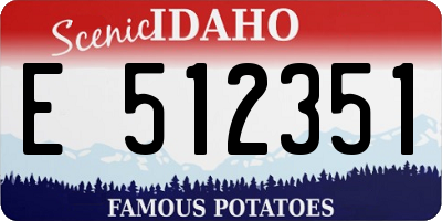 ID license plate E512351