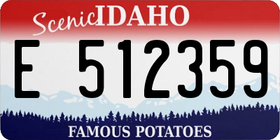 ID license plate E512359