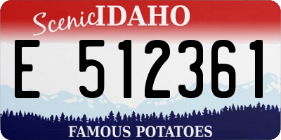 ID license plate E512361