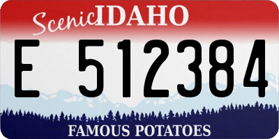 ID license plate E512384