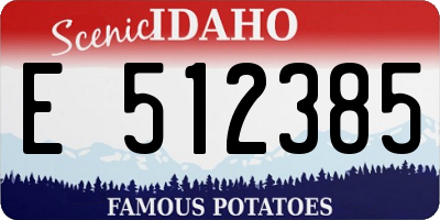 ID license plate E512385