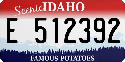 ID license plate E512392