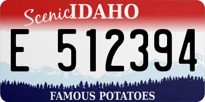 ID license plate E512394