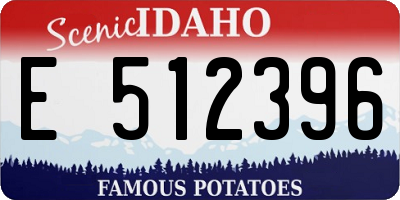 ID license plate E512396