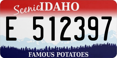 ID license plate E512397