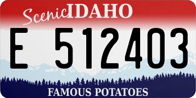 ID license plate E512403