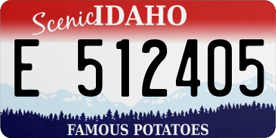 ID license plate E512405