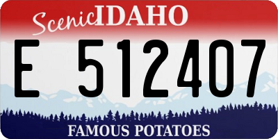 ID license plate E512407