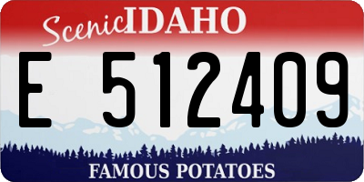 ID license plate E512409