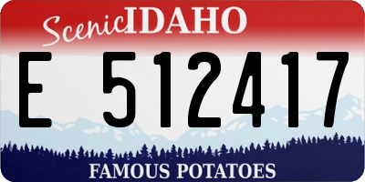 ID license plate E512417