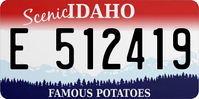 ID license plate E512419