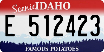 ID license plate E512423