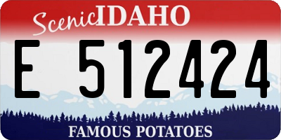 ID license plate E512424