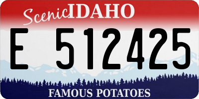 ID license plate E512425