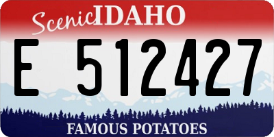 ID license plate E512427