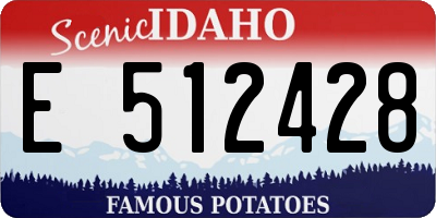 ID license plate E512428