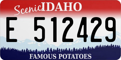 ID license plate E512429