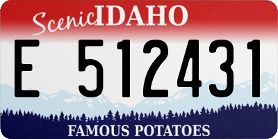 ID license plate E512431