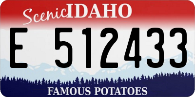 ID license plate E512433