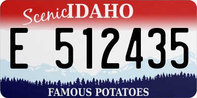 ID license plate E512435