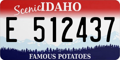 ID license plate E512437