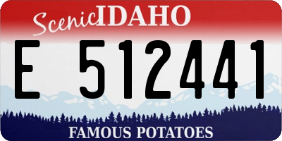 ID license plate E512441