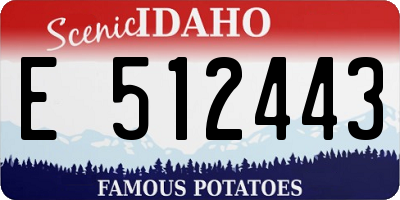 ID license plate E512443