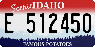 ID license plate E512450