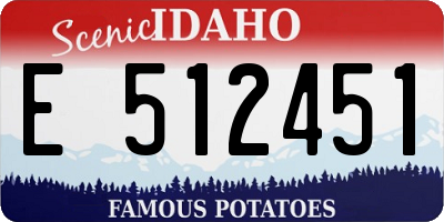 ID license plate E512451