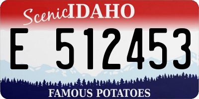 ID license plate E512453