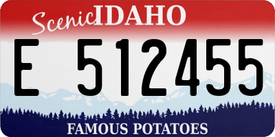 ID license plate E512455