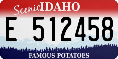 ID license plate E512458