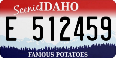 ID license plate E512459