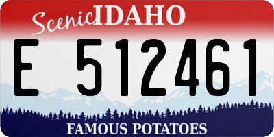 ID license plate E512461