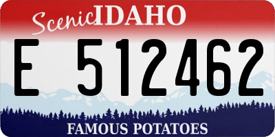 ID license plate E512462