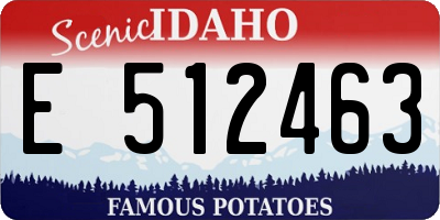 ID license plate E512463