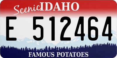 ID license plate E512464